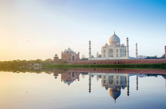 MULTIPURPOSE TEMPLATE