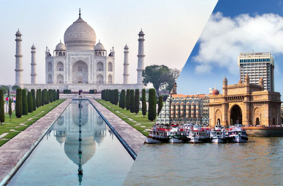 MULTIPURPOSE TEMPLATE